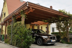 Carport-Pflanzen-2-1