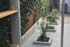 2018-03-10-PHOTO-00003002-1