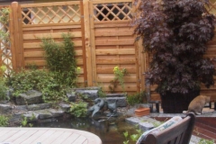 Teich-Stadtgarten-2-1