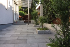 2018-03-10-PHOTO-00002988-1