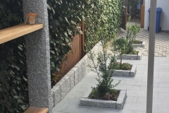 2018-03-10-PHOTO-00003002-1